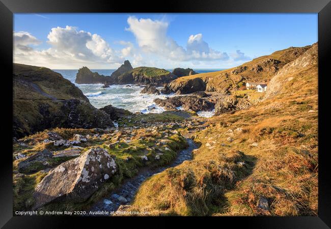 Path to Kynance Cove  Framed Print by Andrew Ray
