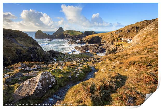 Path to Kynance Cove  Print by Andrew Ray
