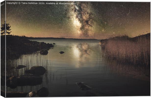 Nocturnal Sea and Stars Canvas Print by Taina Sohlman