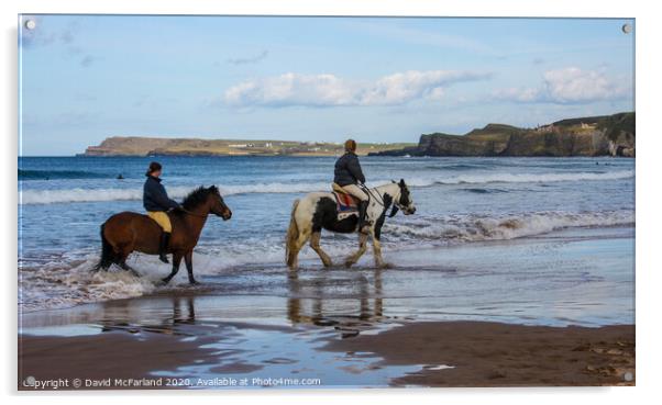 Horses on the shore in Northern Ireland Acrylic by David McFarland