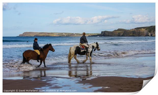 Horses on the shore in Northern Ireland Print by David McFarland