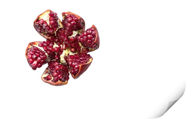 Ripe pomegranate fruit on a white background Print by Sergii Petruk