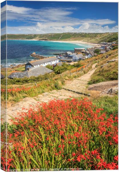 Sennen Cove view Canvas Print by Andrew Ray