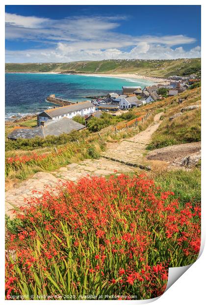 Sennen Cove view Print by Andrew Ray