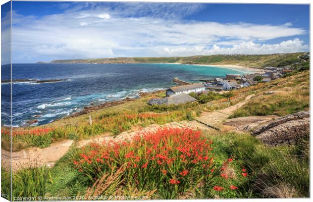Sennen Cove Canvas Print by Andrew Ray