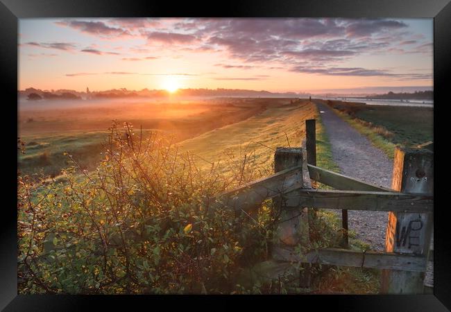 Sunrise on the Wivenhoe Trail Framed Print by Clive Walker