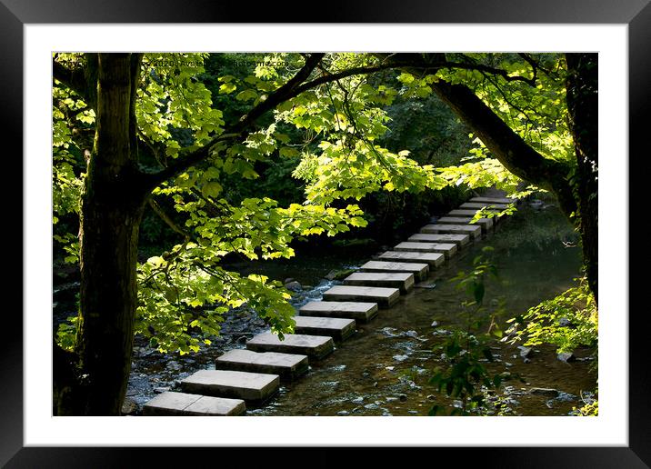 The Stepping Stones Framed Mounted Print by Jim Jones