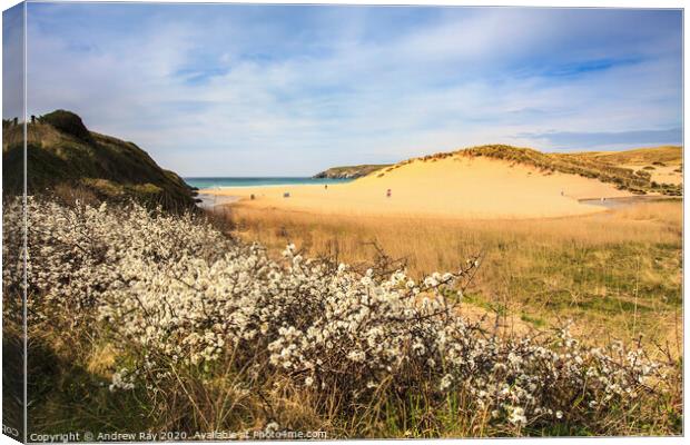 Spring at Holywell Canvas Print by Andrew Ray