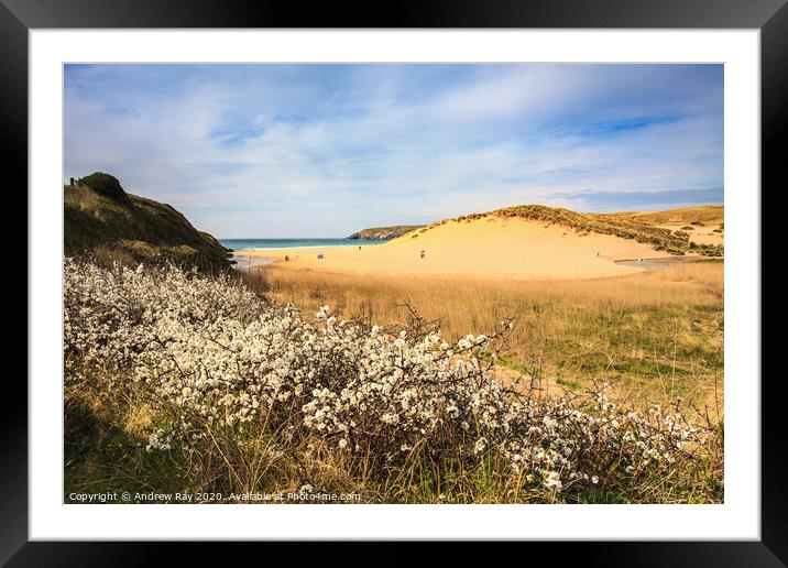 Spring at Holywell Framed Mounted Print by Andrew Ray