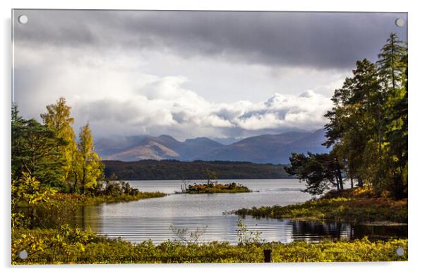 Loch Lochy Inlet Acrylic by Martin Davis