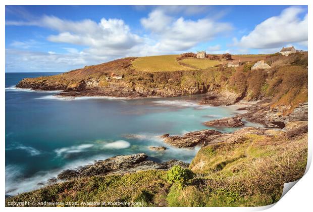 Prussia Cove Print by Andrew Ray