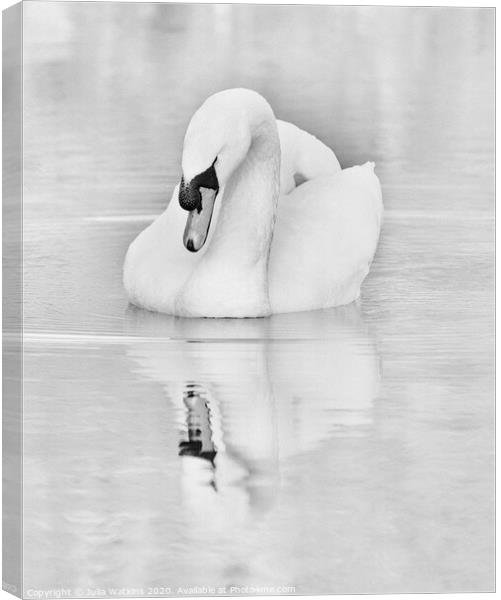 Swan and Reflection Canvas Print by Julia Watkins