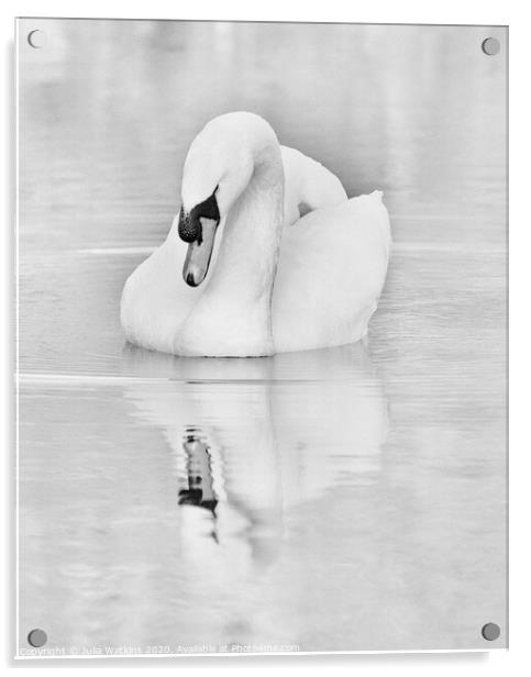 Swan and Reflection Acrylic by Julia Watkins