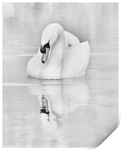 Swan and Reflection Print by Julia Watkins