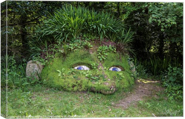 The Giant’s Head, at the Lost Gardens of Heligan Canvas Print by kathy white
