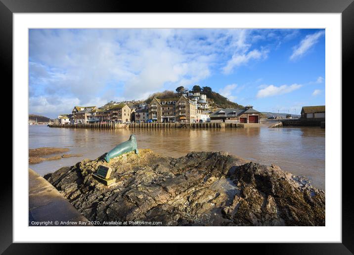 Seals view (Looe) Framed Mounted Print by Andrew Ray