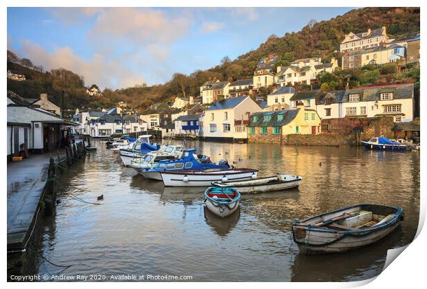 Polperro at first light Print by Andrew Ray
