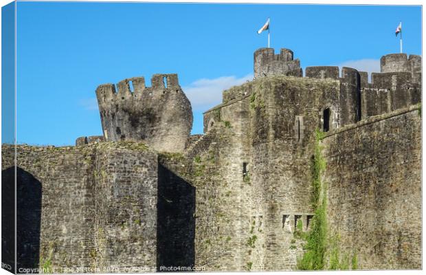 Caerphilly Castle’s Leaning Tower Canvas Print by Jane Metters
