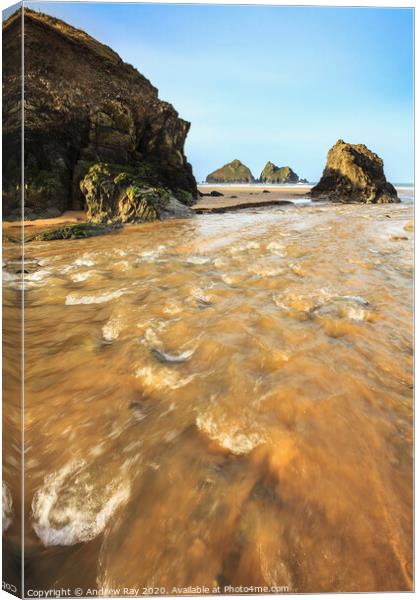 River at Holywell  Canvas Print by Andrew Ray