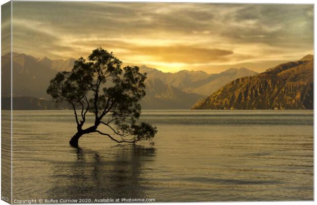 Sunset over Lake Wanaka Canvas Print by Rufus Curnow
