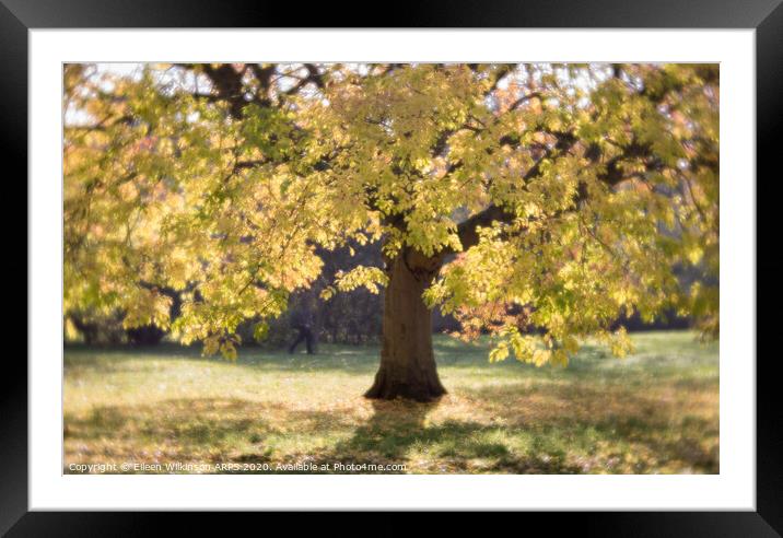 Golden Tree Framed Mounted Print by Eileen Wilkinson ARPS EFIAP