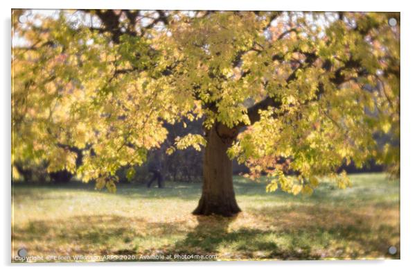 Golden Tree Acrylic by Eileen Wilkinson ARPS EFIAP