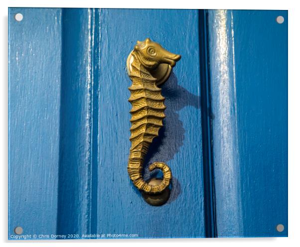 Seahorse Door Knocker Acrylic by Chris Dorney