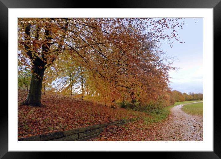 Heaton Park Manchester, Framed Mounted Print by Lilian Marshall