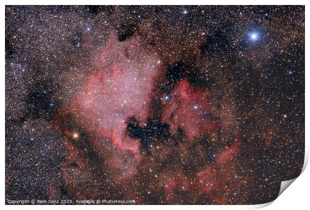 North America and Pelican Nebulae Print by Pere Sanz