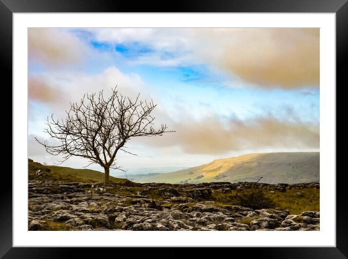 Lone Tree  Framed Mounted Print by Jim Day