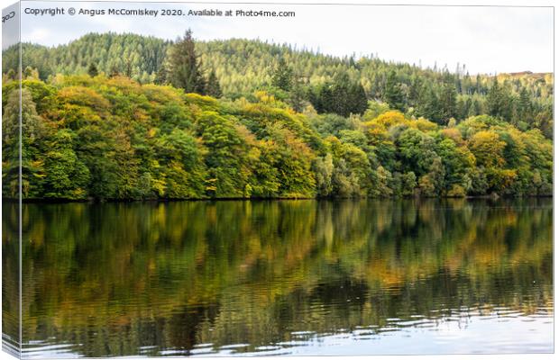 Autumn colours on Loch Faskally Canvas Print by Angus McComiskey
