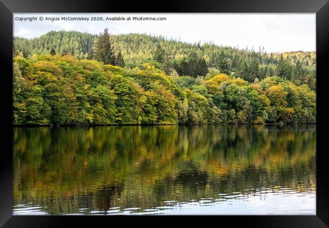 Autumn colours on Loch Faskally Framed Print by Angus McComiskey