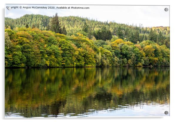 Autumn colours on Loch Faskally Acrylic by Angus McComiskey