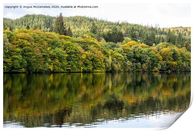 Autumn colours on Loch Faskally Print by Angus McComiskey