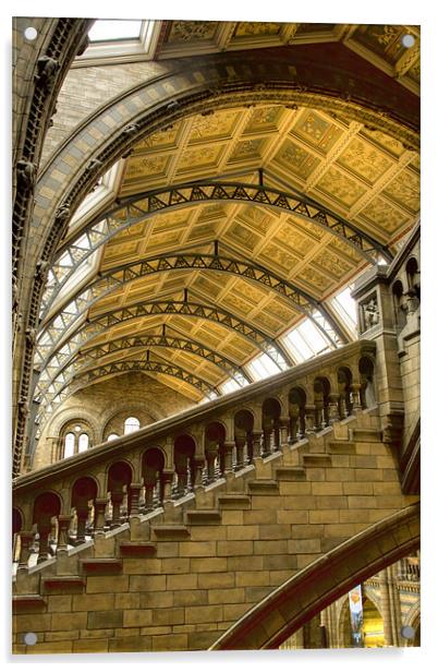 Natural History Museum Kensington fractals Acrylic by David French