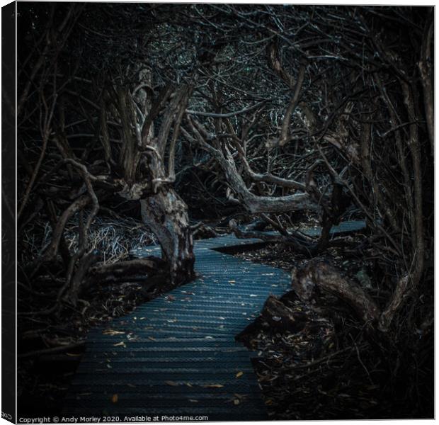 Into The Labyrinth Canvas Print by Andy Morley