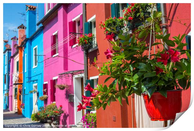 Burano in Italy Print by Chris Dorney