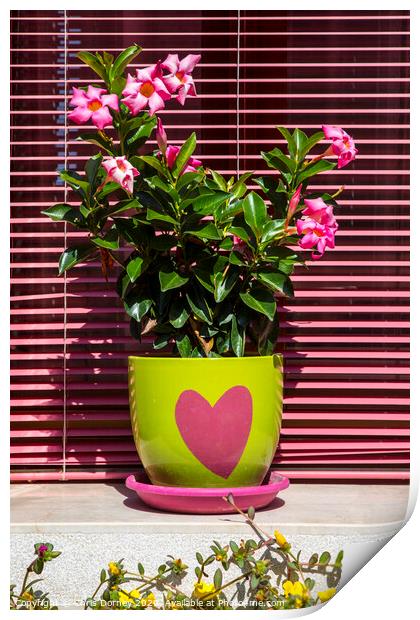 Flowers in a Heart Plant Pot Print by Chris Dorney