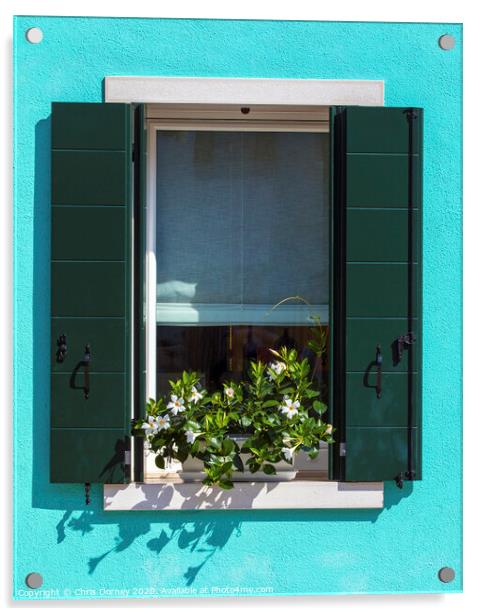 Window with Flowers in Burano Acrylic by Chris Dorney