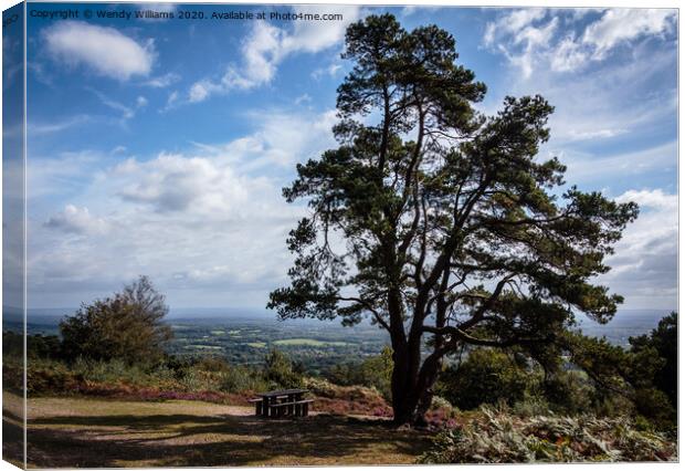 Leith Hill View Canvas Print by Wendy Williams CPAGB