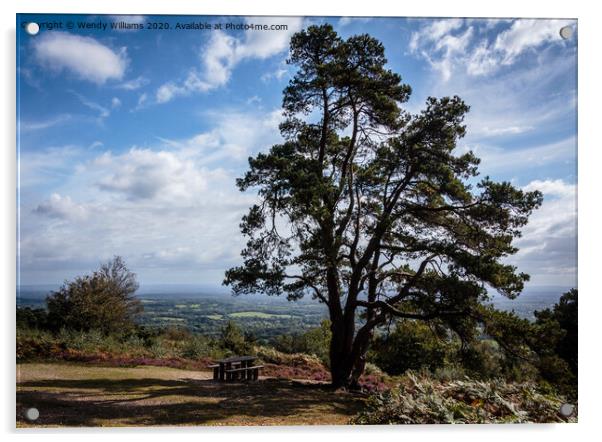 Leith Hill View Acrylic by Wendy Williams CPAGB