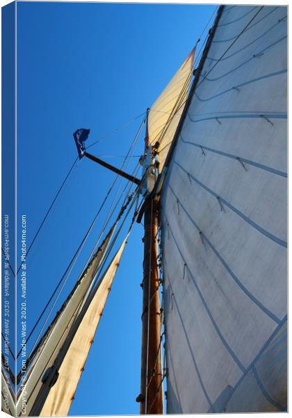 Sails and Rigging of Brixham Trawler 'Leader' Canvas Print by Tom Wade-West