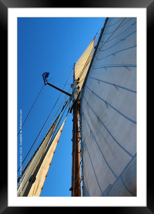 Sails and Rigging of Brixham Trawler 'Leader' Framed Mounted Print by Tom Wade-West