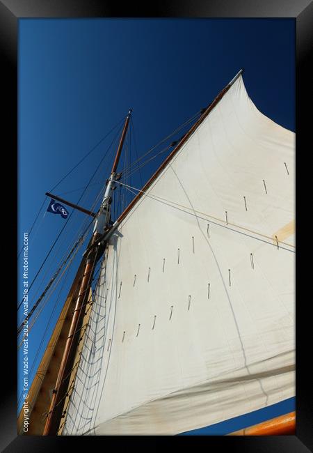 Sail and Rigging of Brixham Trawler 'Leader' Framed Print by Tom Wade-West