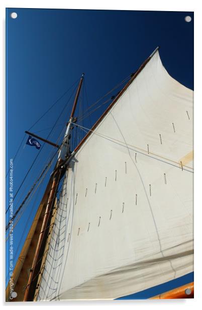 Sail and Rigging of Brixham Trawler 'Leader' Acrylic by Tom Wade-West