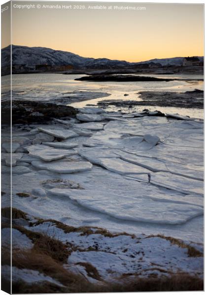 Frozen sea in Norway Canvas Print by Amanda Hart