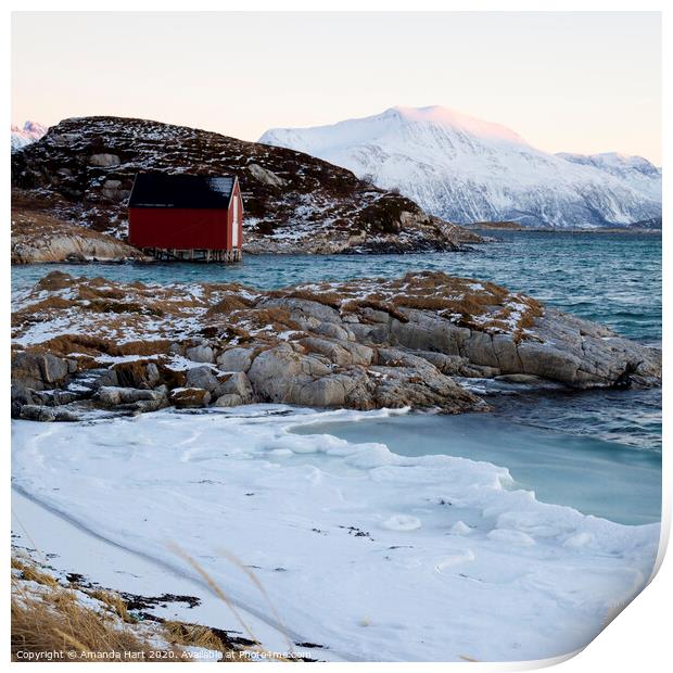 Red hut by the sea, winter in Norway Print by Amanda Hart