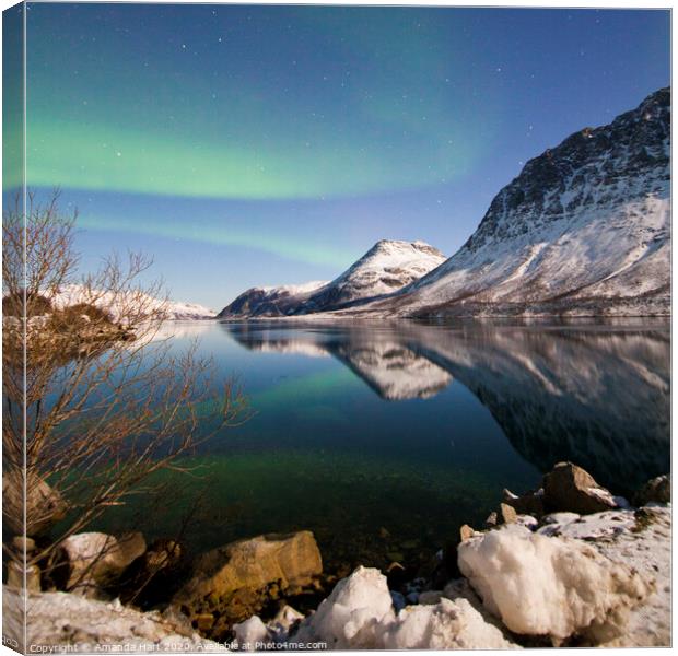 Northern lights over a fjord in Norway Canvas Print by Amanda Hart