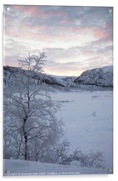 Frozen tree in Norway Acrylic by Amanda Hart