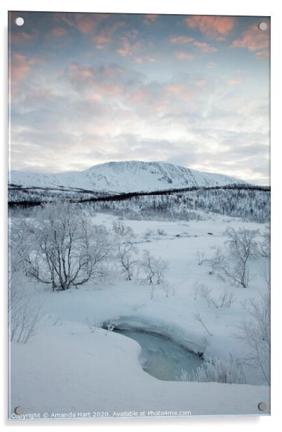 Frozen trees in Norway Acrylic by Amanda Hart